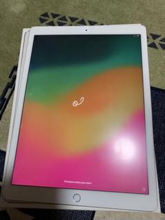 iPad Pro 12.9インチ　第2世代　Wi-Fi 256GB　ペンシル付き