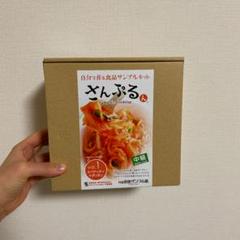 食品サンプル ナポリタン