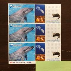新江ノ島水族館 ご招待券 3枚
