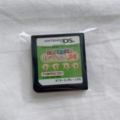 ことばのパズルもじぴったんDS DSソフト