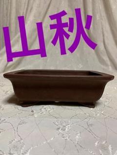 山秋 鉢の中古/未使用品 - メルカリ 山秋 鉢の中古/未使用品 - メルカリ