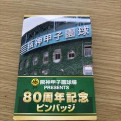 甲子園球場記念ピンバッジ