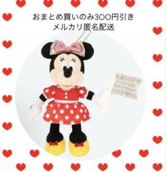 ミニー2種類セット 誕生日 市長 ぬいば TDR ディズニー ぷらん on X: 