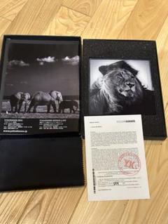 希少レア限定　YELLOWKORNER　AENO ELIAS　CARA LION 忍び on X: 
