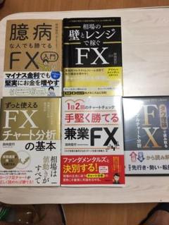 FX 参考書 初心者 田向宏行 セット