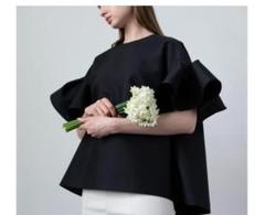 Heve ヘイヴ　LADYBUGトップス　ブラック　新品未使用タグ付き Heve ヘイヴ LADYBUGトップス ブラック 新品未使用タグ付き