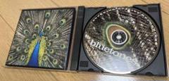 ブルートーンズ Expecting To Fly 1996