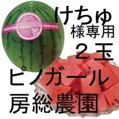 2・東京都・けちゅ様専用・ピノガール - メルカリ