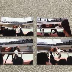最終値下げ 競馬 ナイスネイチャ写真③セット