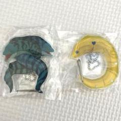 ウツボのカラビナ　2点セット