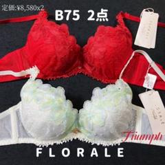 トリンプ　フロラーレ バイ トリンプ513 ブラジャー　2点　B75