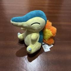 ポケモンセンター　連れ歩き　マスコット　ぬいぐるみ　ヒノアラシ　レア 希少/タグ付き】 ポケモンドール ヒノアラシ ぬいぐるみ