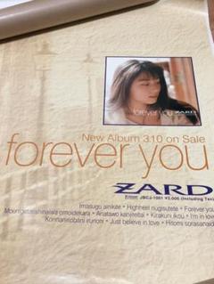 ZARD　ポスター　B1サイズ　forever you ZARD ポスター B1サイズ forever you