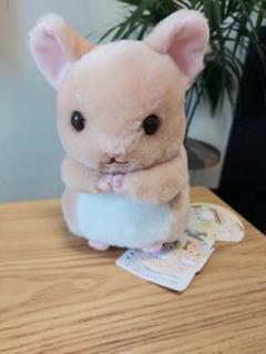 2025年最新】チンチラ ララちゃんの人気アイテム - メルカリ