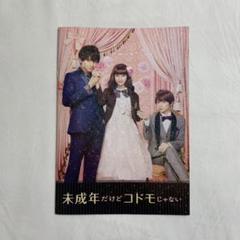 未成年だけどコドモじゃない パンフレット