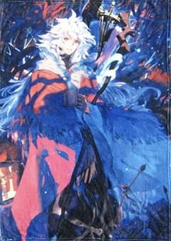 Fate/Grand Order＊マーリン　ブランケット　ひざ掛け 2025年最新】マーリン ブランケットの人気アイテム - メルカリ