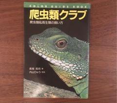 爬虫類クラブ : 爬虫類&両生類の飼い方