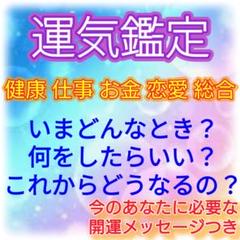 健康 仕事 お金 恋愛 家庭 総合 3年運気鑑定 一生運勢年表 メッセージ付