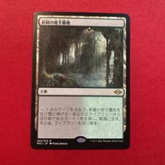 『MTG』新緑の地下墓地　4枚セット MTG 新緑の地下墓地 - メルカリ