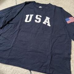 【人気】FREAK'S STORE ビックUSA Tシャツ