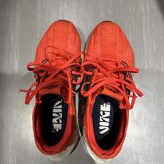 NIKE Pegasus Turbo ペガサスターボ　ネクストネイチャーのサムネイル