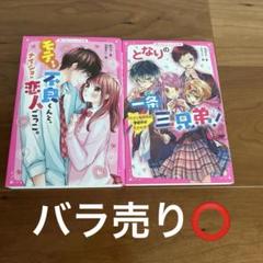 野いちごジュニア文庫2冊セット - メルカリ