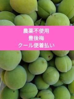 ティエラ様　クール便　青梅　甲州小梅　50kg 農薬不使用 青梅 （豊後）3キロ以内梱包材込 クール便着払い