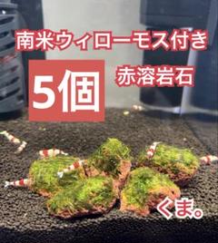 2025年最新】モス 流木の人気アイテム - メルカリ