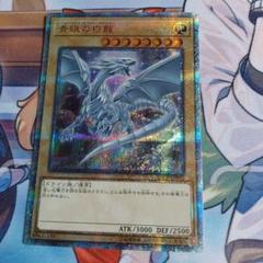遊戯王 青眼の白龍 アクリルプレート 20周年 2025年最新】青眼の白龍 20thの人気アイテム - メルカリ