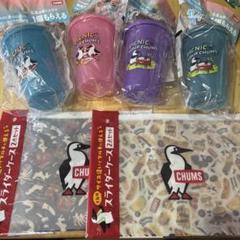 チャムスカラーチェンジタンブラーとスライダーケースセットのサムネイル