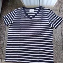 ÉDIFICE ストライプ Tシャツ 44