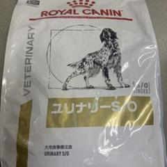 【新品未開封】ロイヤルカナン ユリナリーS/O ライト ドライ 犬用 8kg 楽天市場】ロイヤルカナン 猫用 ユリナリーS／O オル