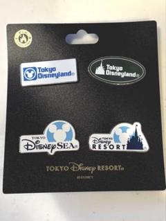 【新品未使用】ディズニーリゾート　ロゴ　ピンバッチ