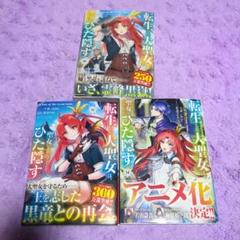 【メルカリ便】転生した大聖女は、聖女であることをひた隠す 特典SS 18枚❣️ メルカリ便】転生した大聖女は、聖女であることをひた隠す 特典