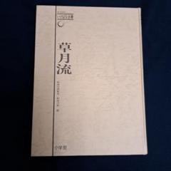 草月流　日本のいけばな 　2冊 　勅使河原霞 /勅使河原蒼風 小学館 草月流 日本のいけばな 2冊 勅使河原霞 /勅使河原蒼風 小学館 本