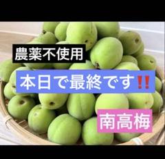 2025年最新】梅 無農薬 南高梅の人気アイテム - メルカリ