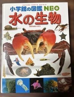 小学館の図鑑Neo水の生物