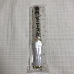 関ジュ ペンライト