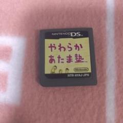 やわらかあたま塾 DS ソフト