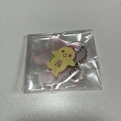亀井義行❾カメットセット アヒルキーホルダー付き 2025年最新】亀井義行の人気アイテム - メルカリ