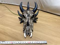 2025年最新】爬虫類剥製の人気アイテム - メルカリ