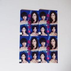 DVD　奪い愛、冬 全4枚 全巻セット　鈴木おさむ　倉科カナ　三浦翔平　水野美紀