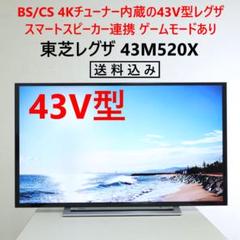 東芝 レグザ 4Kチューナー内蔵 43インチ 液晶テレビ 43M520X
