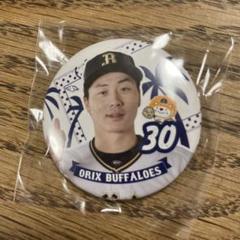 【セット品】オリックスバファローズ 30廣岡 まとめ売り jambalaya_24dobp4-bs12