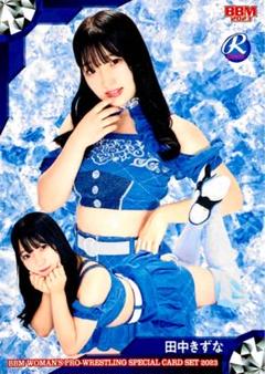 女子プロレス　マリーゴールド　田中きずな　非売品　Tシャツ　新品未開封 DSC_7621-300x200.jpg