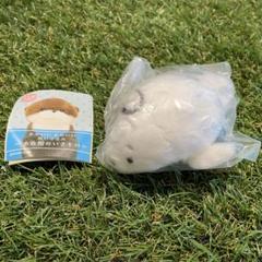 かわいいかわいいぬいぐるみ　水族館のいきもの　アザラシ