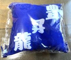 【匿名配送】大相撲ガチャ 関取控え座布団キーホルダー 豊昇龍