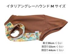メルカリで1時間以内に売れなければ300円❗「幻のイタリアングレーハウンド」 m10849323768_1.jpg?1711008427