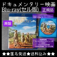 ミユウ出品　【廃盤/セル版】「憎しみ ブルーレイ&DVDセット」 ミユウ様専用出品 【廃盤/セル版】「憎しみ ブルーレイ&DVDセット」