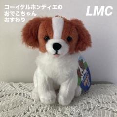 2025年最新】コーイケルホンディエ ぬいぐるみの人気アイテム